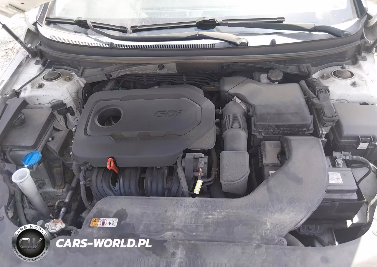 2016 Hyundai Sonata Sport VIN:5NPE34AF6GH316457 - 10