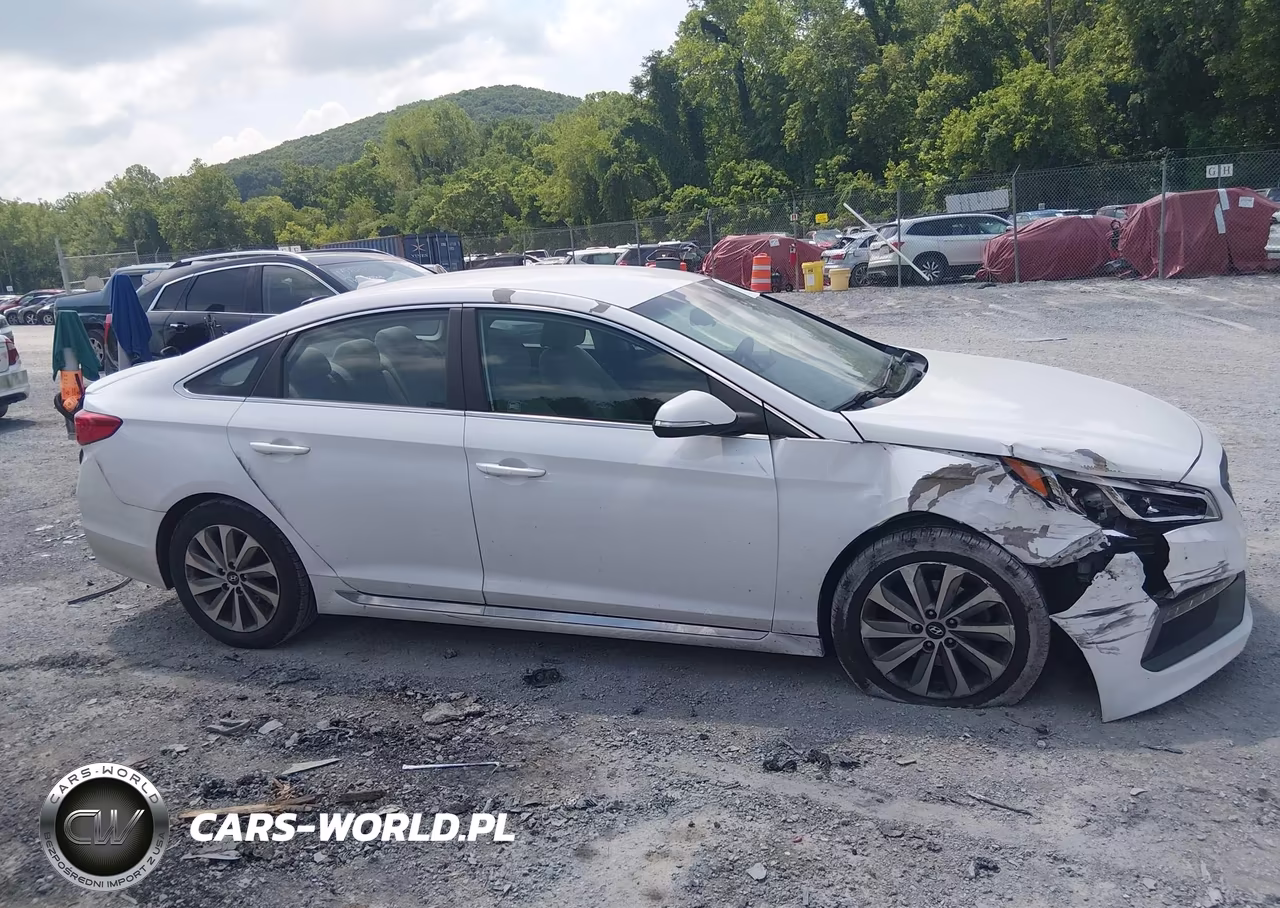 2016 Hyundai Sonata Sport VIN:5NPE34AF6GH316457 - 13