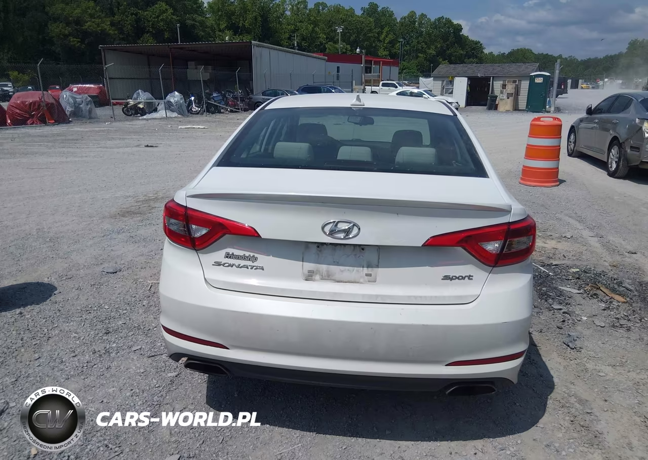 2016 Hyundai Sonata Sport VIN:5NPE34AF6GH316457 - 16