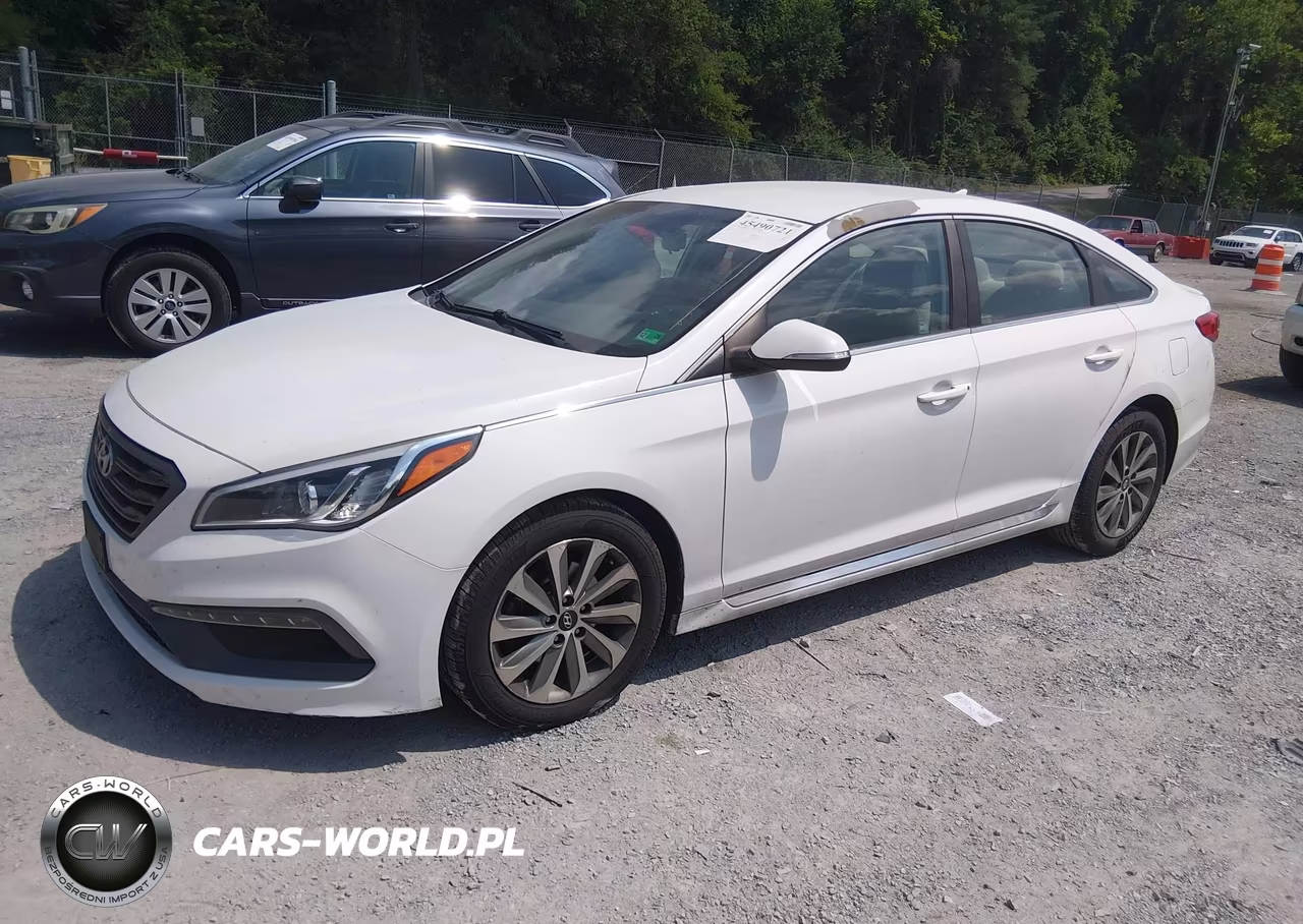 2016 Hyundai Sonata Sport VIN:5NPE34AF6GH316457 - 2