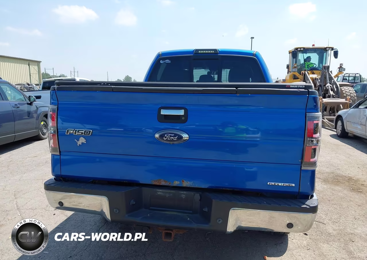 2014 Ford F-150 Xlt VIN:1FTFW1EF8EKE18720 - 16