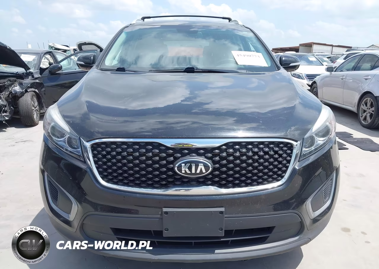2017 Kia Sorento 2.4L Lx VIN:5XYPGDA31HG253988 - 12