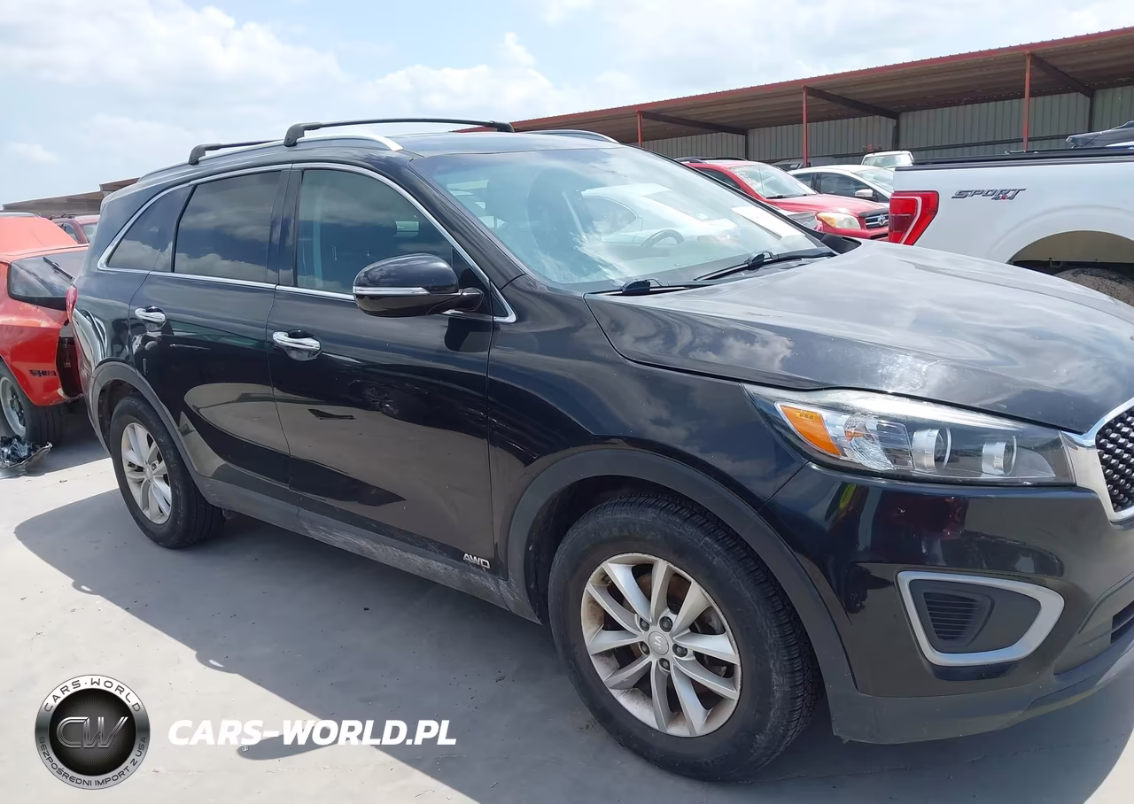 2017 Kia Sorento 2.4L Lx VIN:5XYPGDA31HG253988 - 13