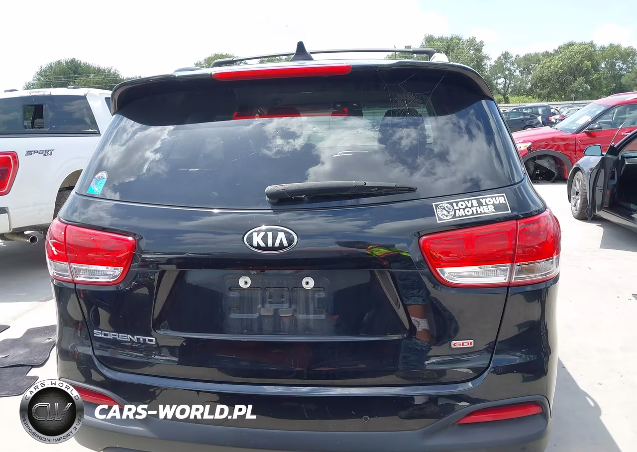 2017 Kia Sorento 2.4L Lx VIN:5XYPGDA31HG253988 - 16