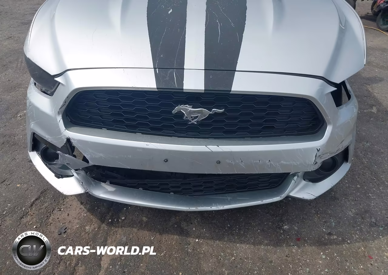 2017 Ford Mustang Ecoboost VIN:1FA6P8THXH5205545 - 12