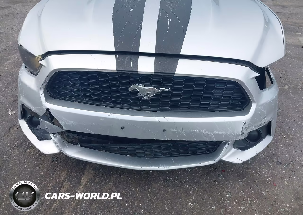 2017 Ford Mustang Ecoboost VIN:1FA6P8THXH5205545 - 6