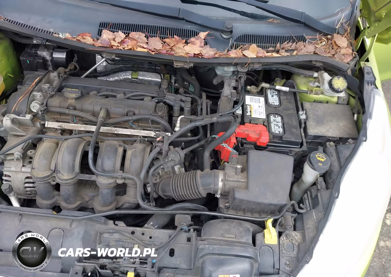 2013 Ford Fiesta Se VIN:3FADP4BJ7DM174991 - 10