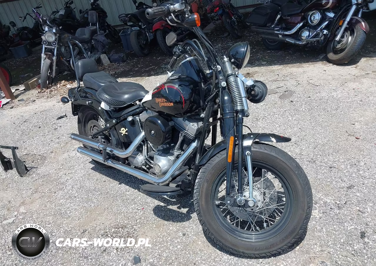 2009 Harley-Davidson Flstsb – zdjęcie 1 z 13