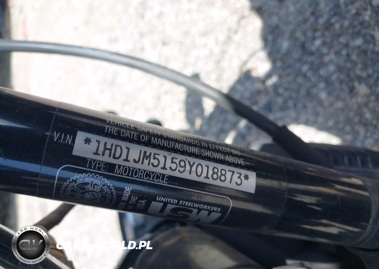 2009 Harley-Davidson Flstsb VIN:1HD1JM5159Y018873 - 10