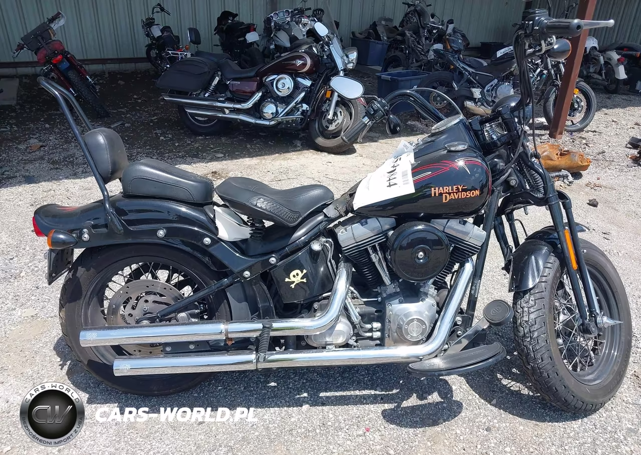 2009 Harley-Davidson Flstsb VIN:1HD1JM5159Y018873 - 12