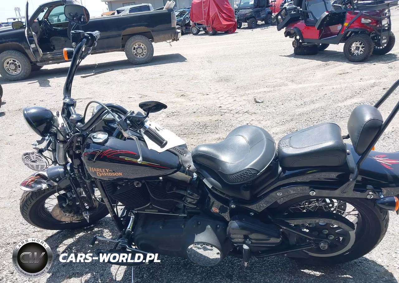 2009 Harley-Davidson Flstsb VIN:1HD1JM5159Y018873 - 13