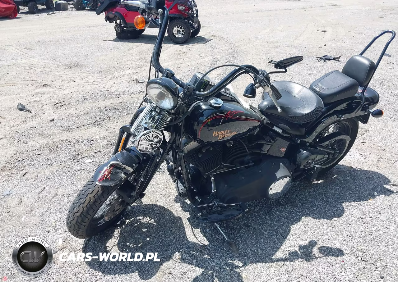2009 Harley-Davidson Flstsb VIN:1HD1JM5159Y018873 - 2