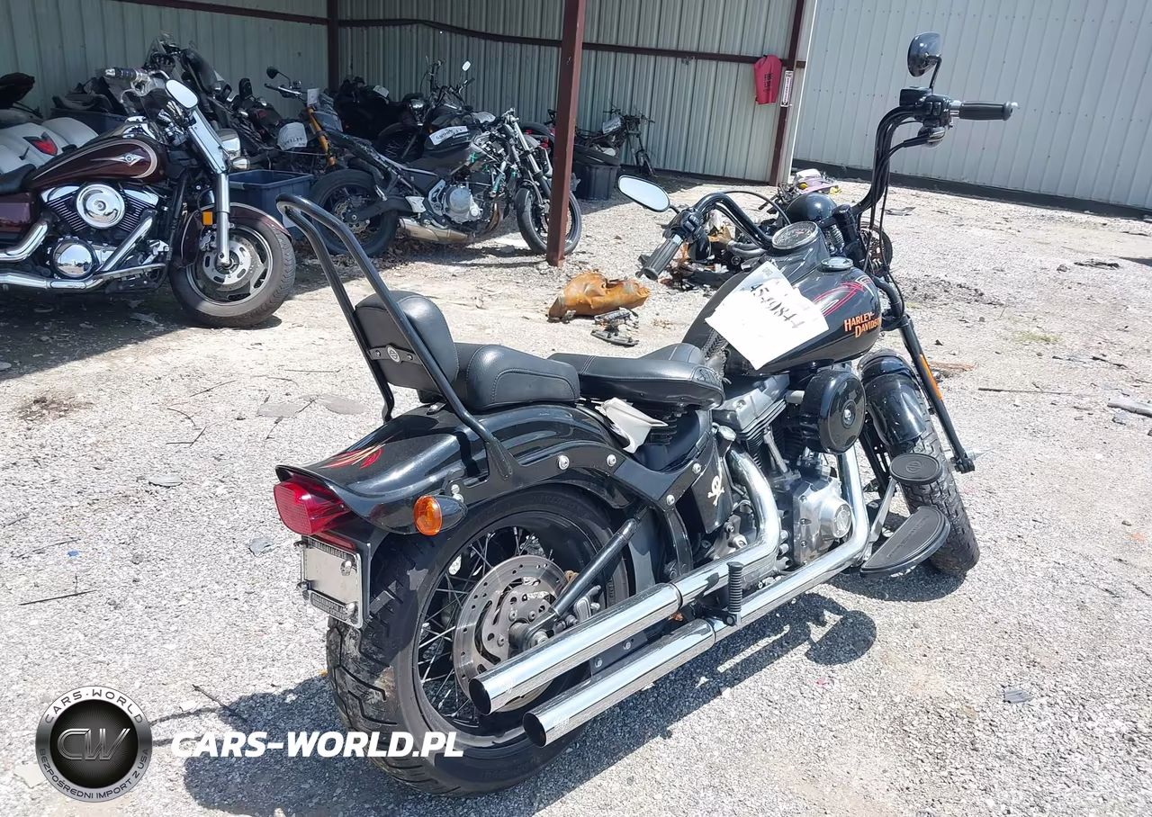 2009 Harley-Davidson Flstsb VIN:1HD1JM5159Y018873 - 4