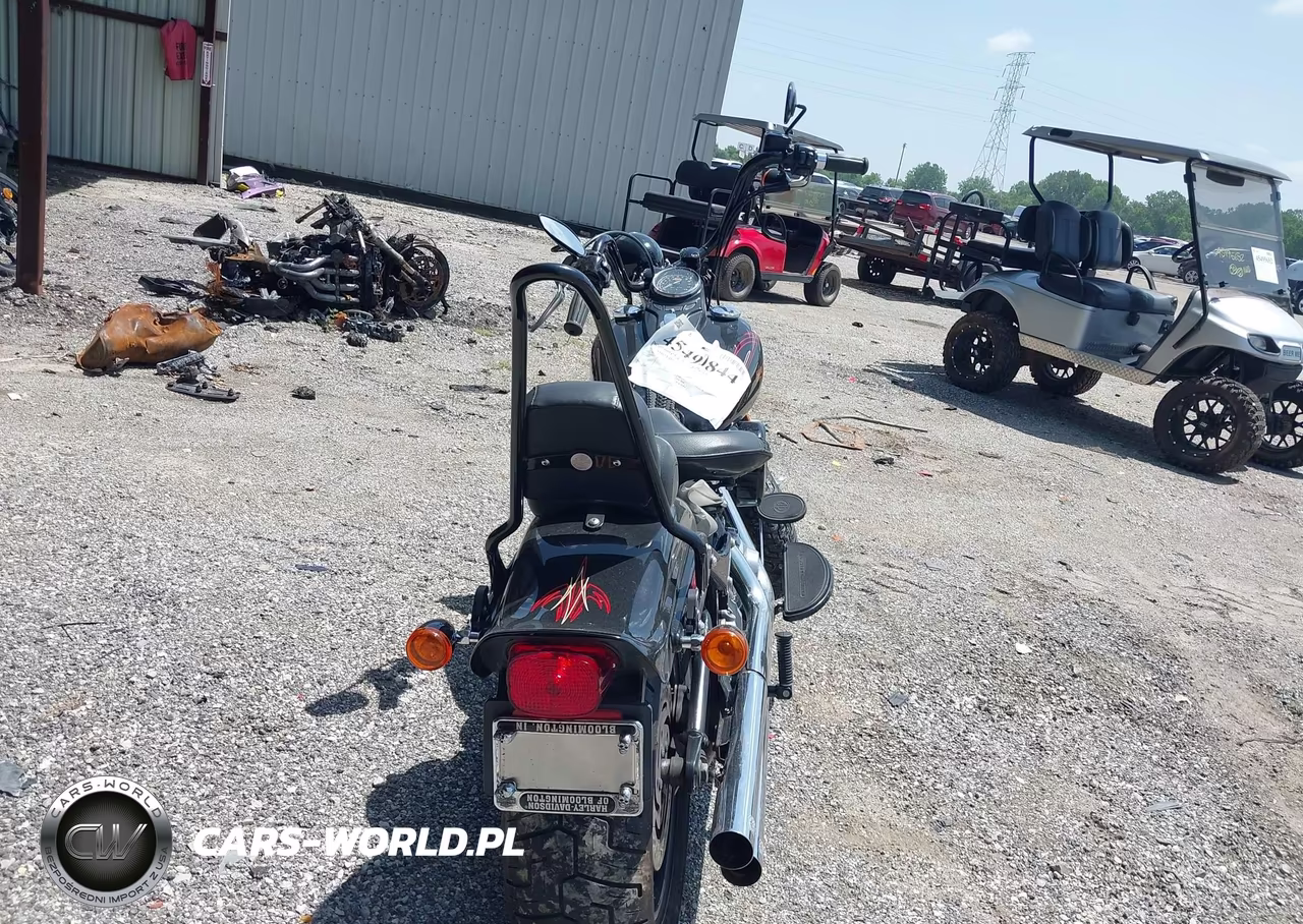 2009 Harley-Davidson Flstsb VIN:1HD1JM5159Y018873 - 6