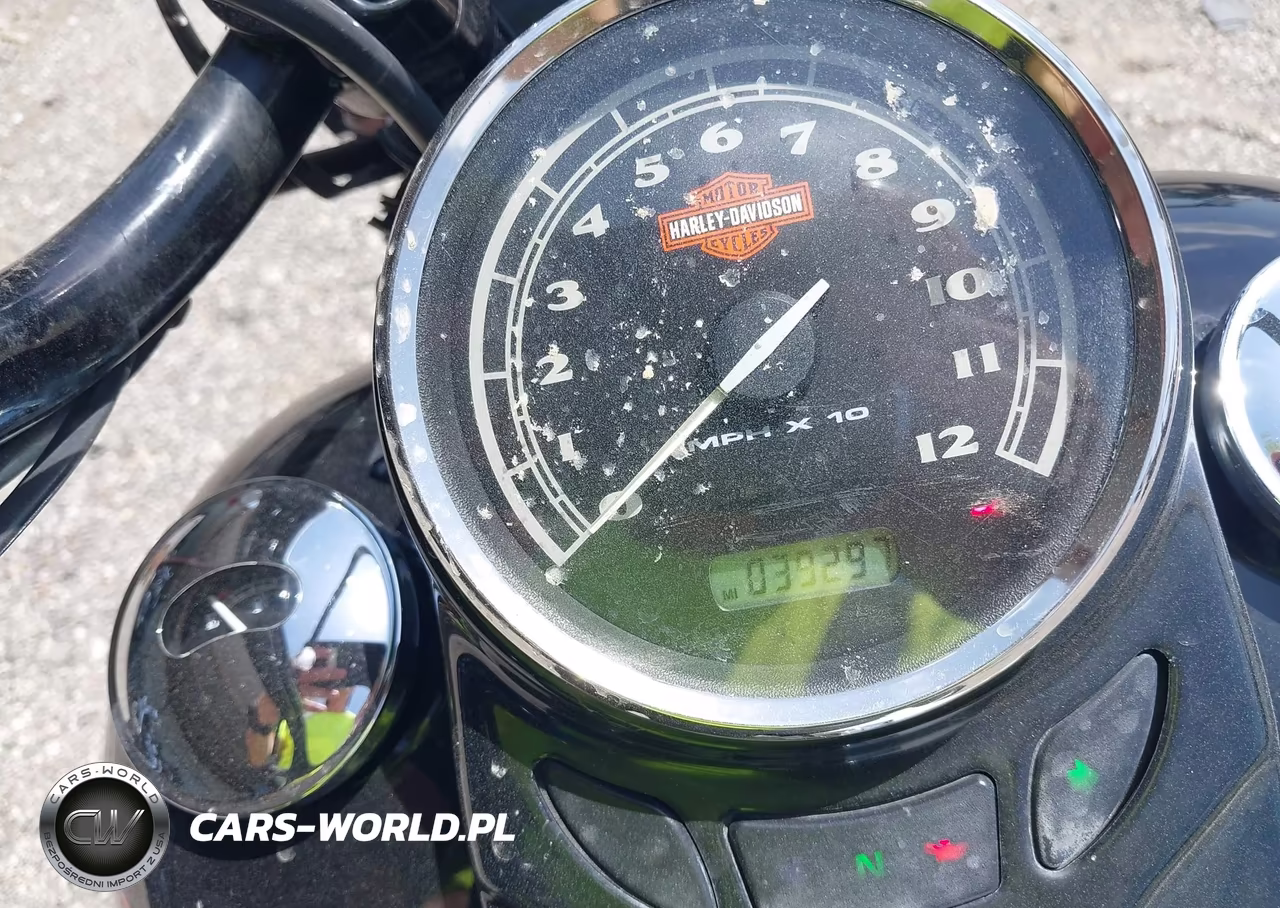 2009 Harley-Davidson Flstsb VIN:1HD1JM5159Y018873 - 7