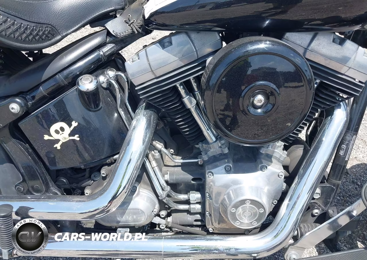 2009 Harley-Davidson Flstsb VIN:1HD1JM5159Y018873 - 8