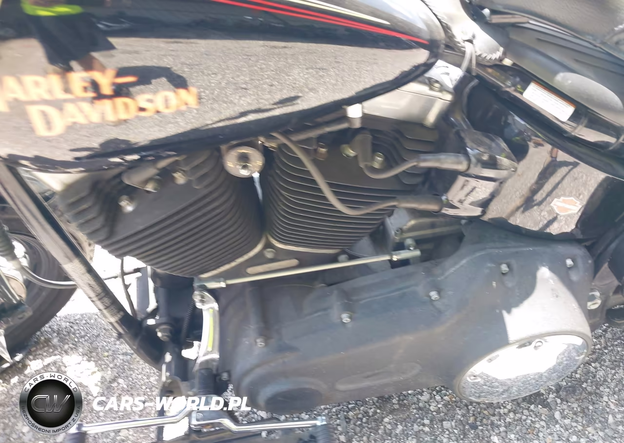 2009 Harley-Davidson Flstsb VIN:1HD1JM5159Y018873 - 9