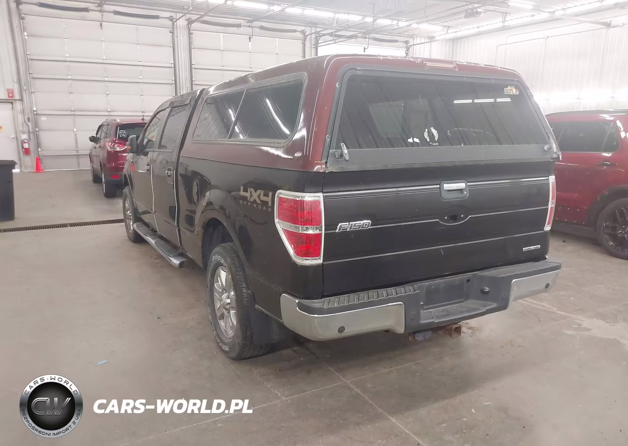 2013 Ford F-150 Fx4-King Ranch-Lariat-Platinum-Xl-Xlt VIN:1FTFW1EF4DKD95953 - 3
