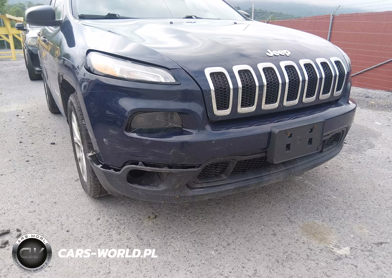 2016 Jeep Cherokee Sport VIN:1C4PJLAB9GW190773 - 6