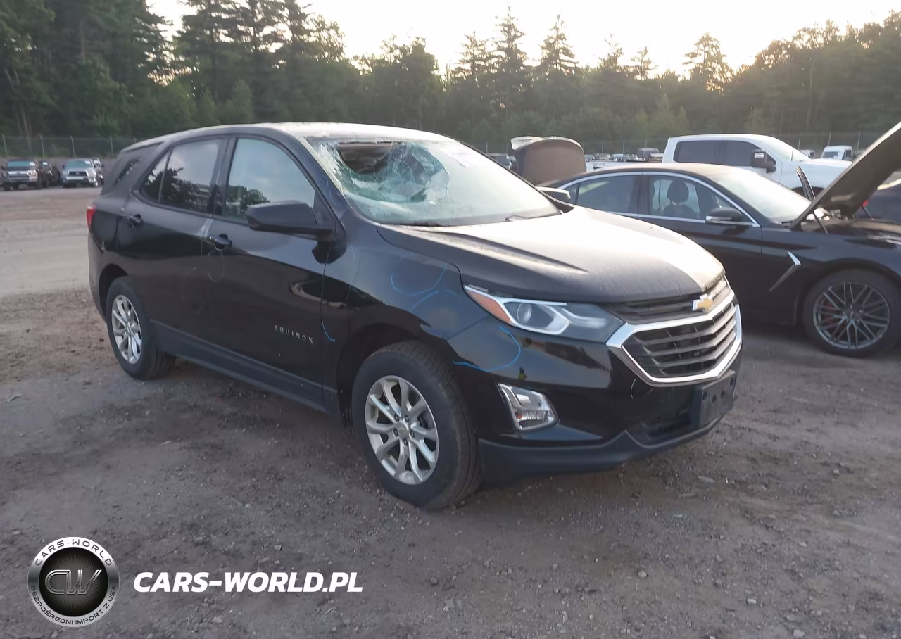 2019 Chevrolet Equinox Ls – zdjęcie 1 z 21