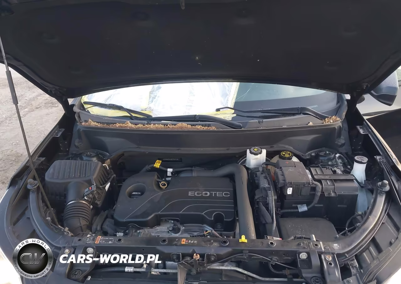 2019 Chevrolet Equinox Ls VIN:2GNAXSEV7K6295910 - 10