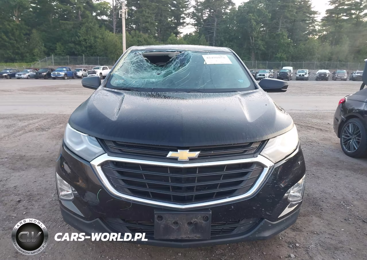2019 Chevrolet Equinox Ls VIN:2GNAXSEV7K6295910 - 12