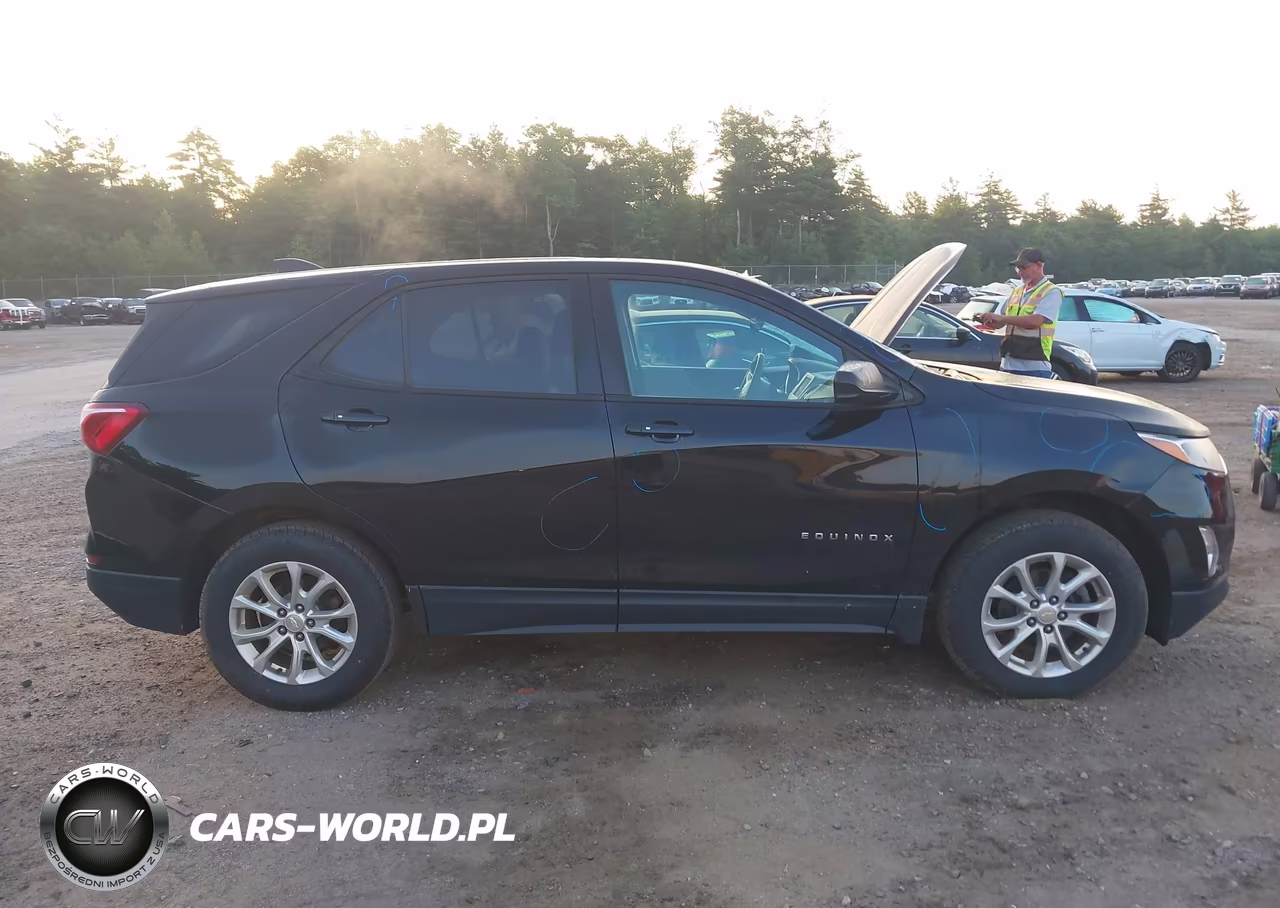 2019 Chevrolet Equinox Ls VIN:2GNAXSEV7K6295910 - 13