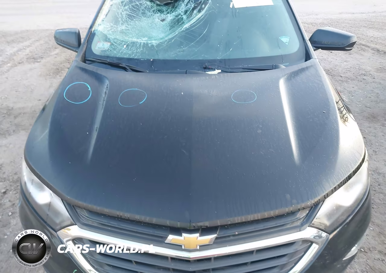 2019 Chevrolet Equinox Ls VIN:2GNAXSEV7K6295910 - 18
