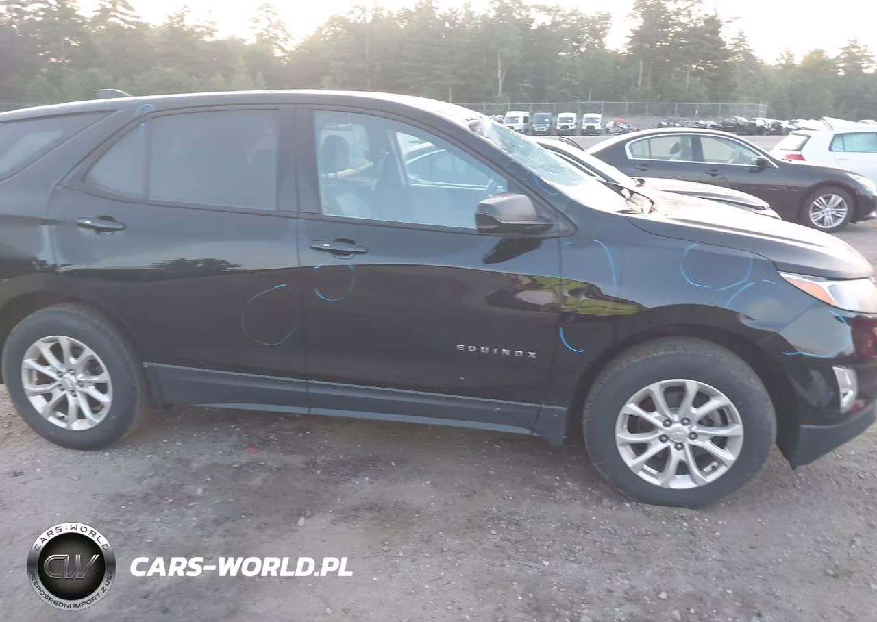 2019 Chevrolet Equinox Ls VIN:2GNAXSEV7K6295910 - 19