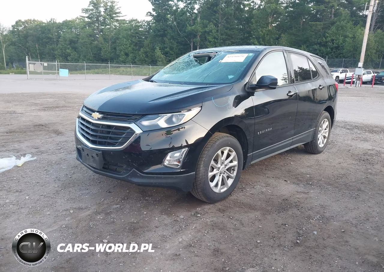 2019 Chevrolet Equinox Ls VIN:2GNAXSEV7K6295910 - 2