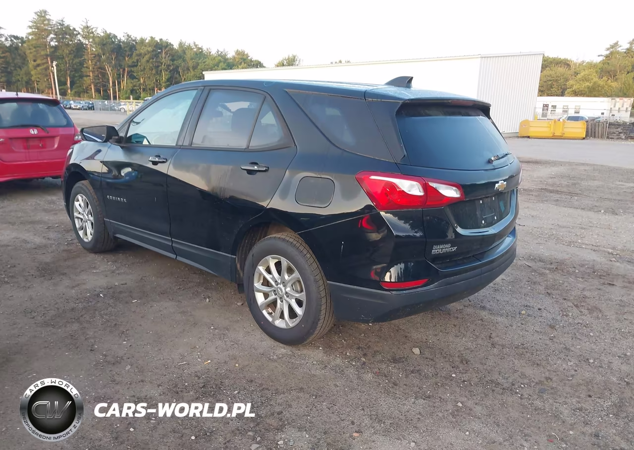 2019 Chevrolet Equinox Ls VIN:2GNAXSEV7K6295910 - 3