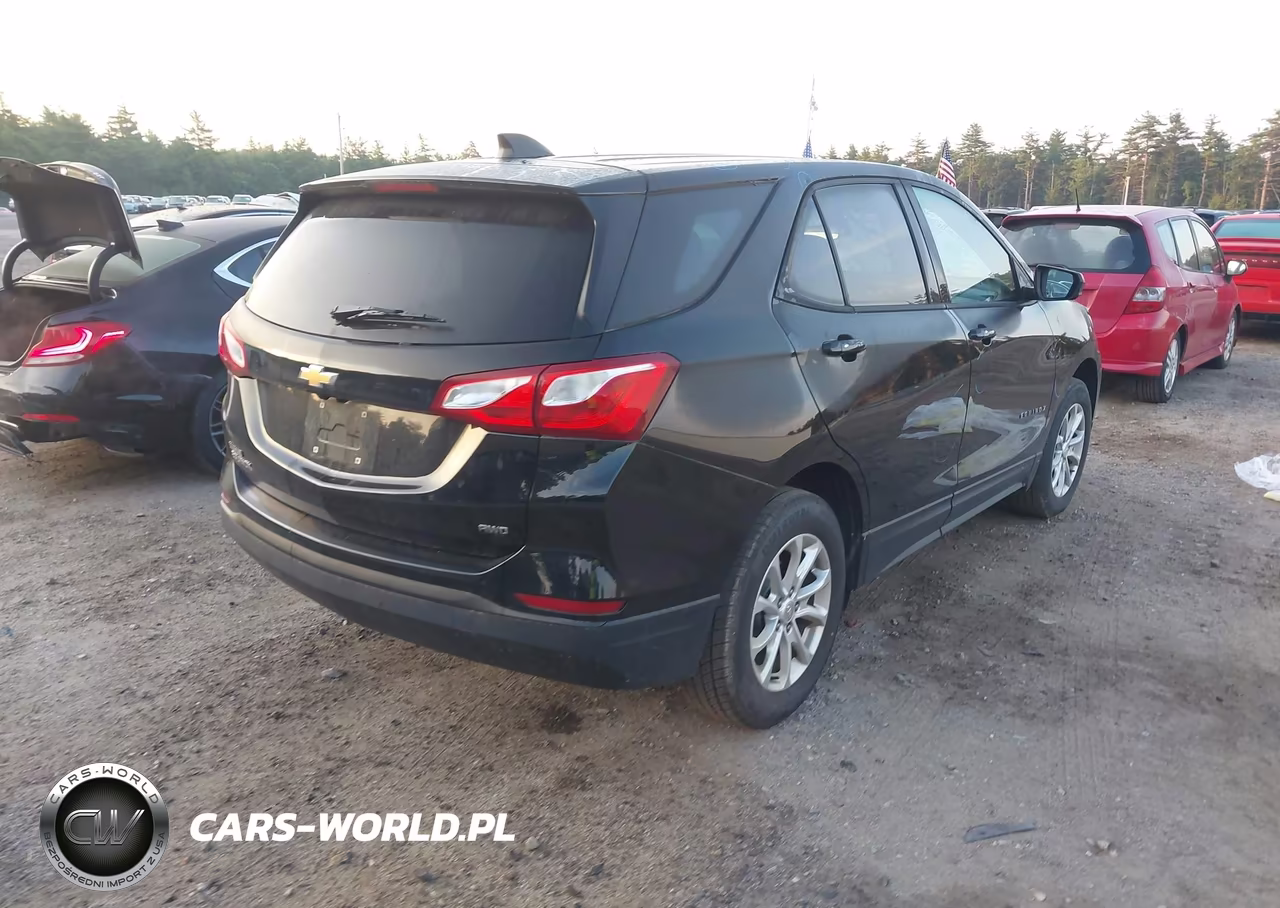 2019 Chevrolet Equinox Ls VIN:2GNAXSEV7K6295910 - 4