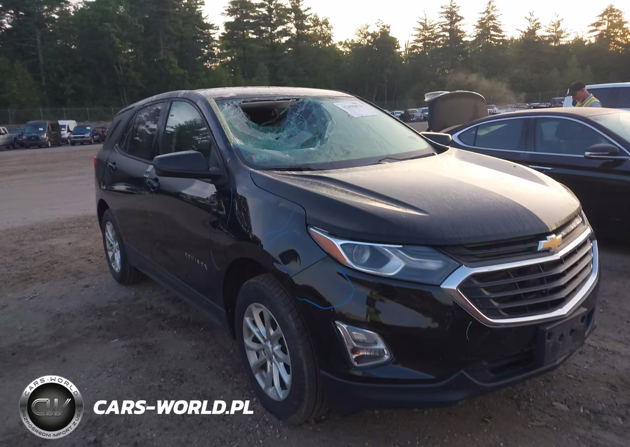 2019 Chevrolet Equinox Ls VIN:2GNAXSEV7K6295910 - 6