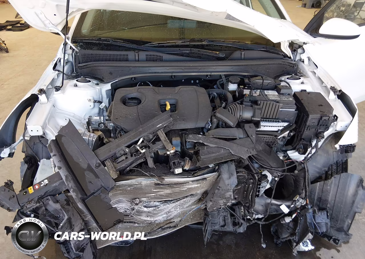 2021 Kia Forte Lxs VIN:3KPF24AD4ME355487 - 10