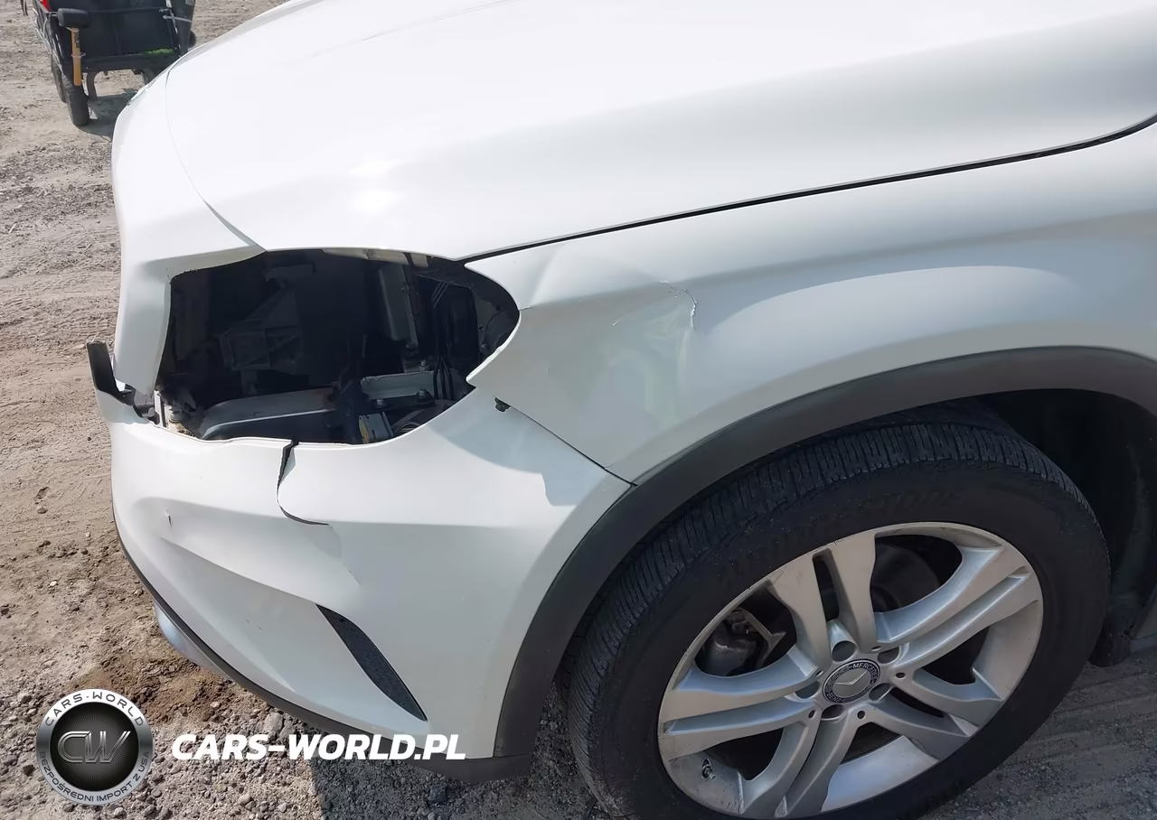 2015 Mercedes-Benz Gla 250 VIN:WDCTG4EB2FJ112824 - 12