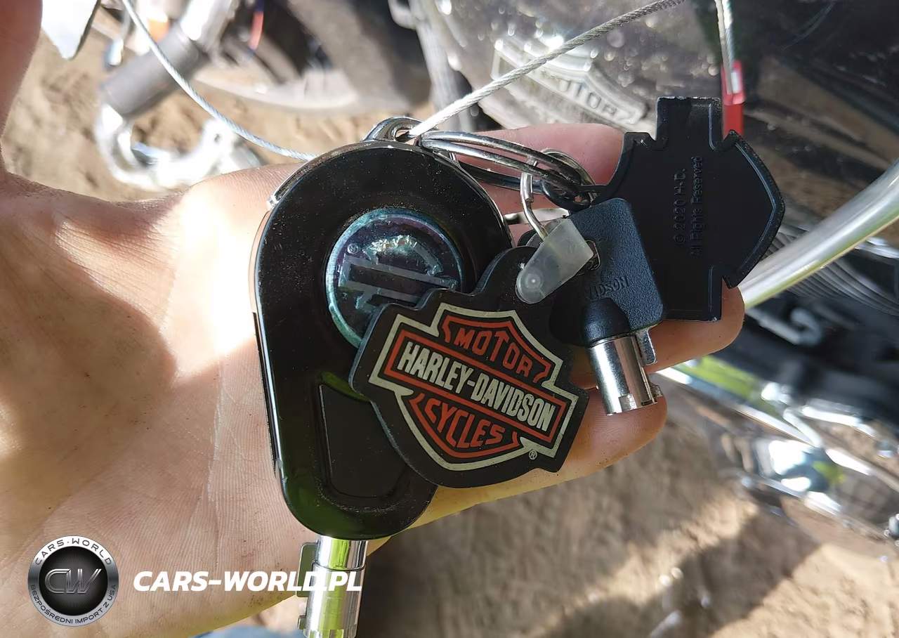 2021 Harley-Davidson Flhxs VIN:1HD1KRP16MB637663 - 11