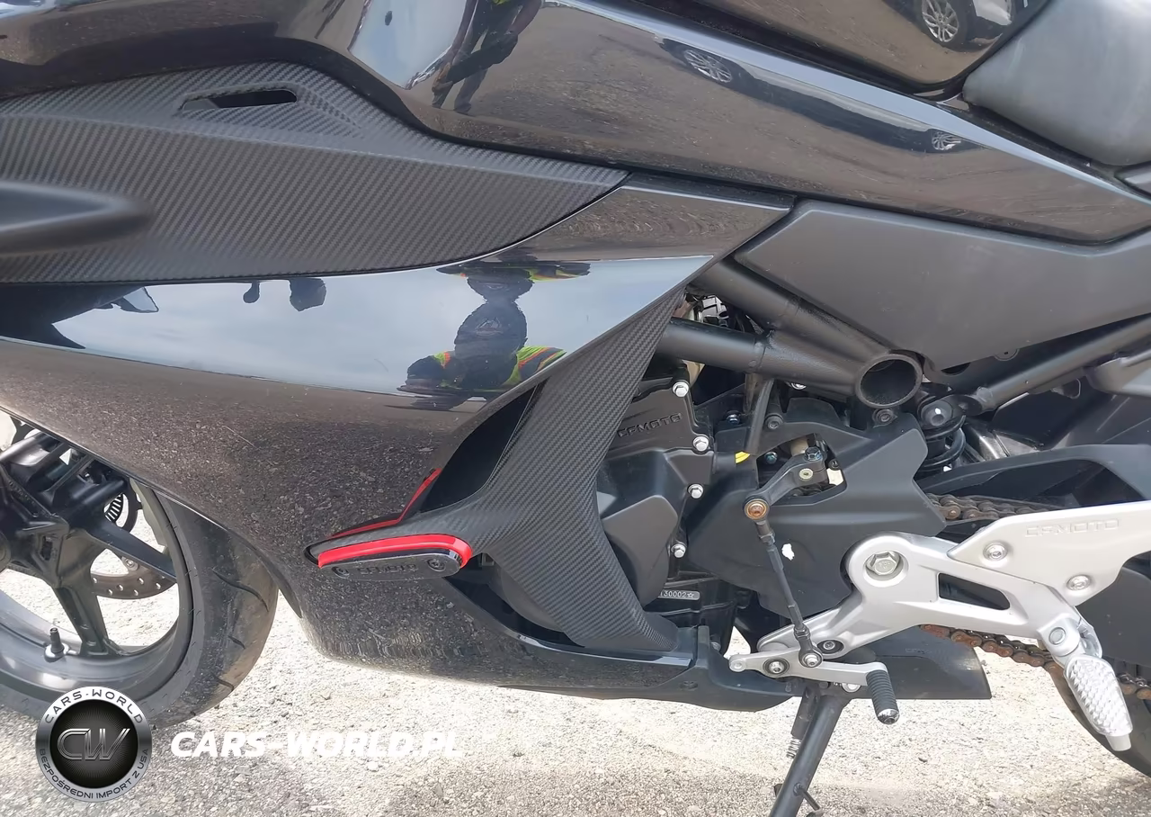 2024 Cf Moto 450Ss VIN:LCEPESLA5R6001008 - 9