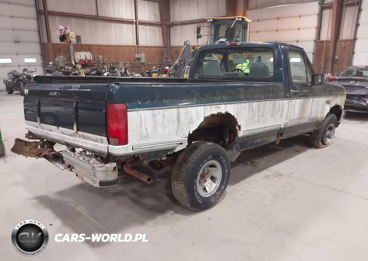 1994 Ford F150 VIN:1FTEF14N4RLB65786 - 4