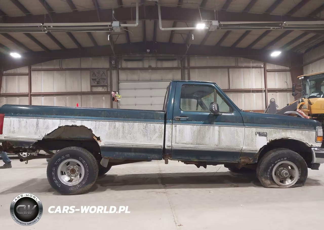 1994 Ford F150 VIN:1FTEF14N4RLB65786 - 6