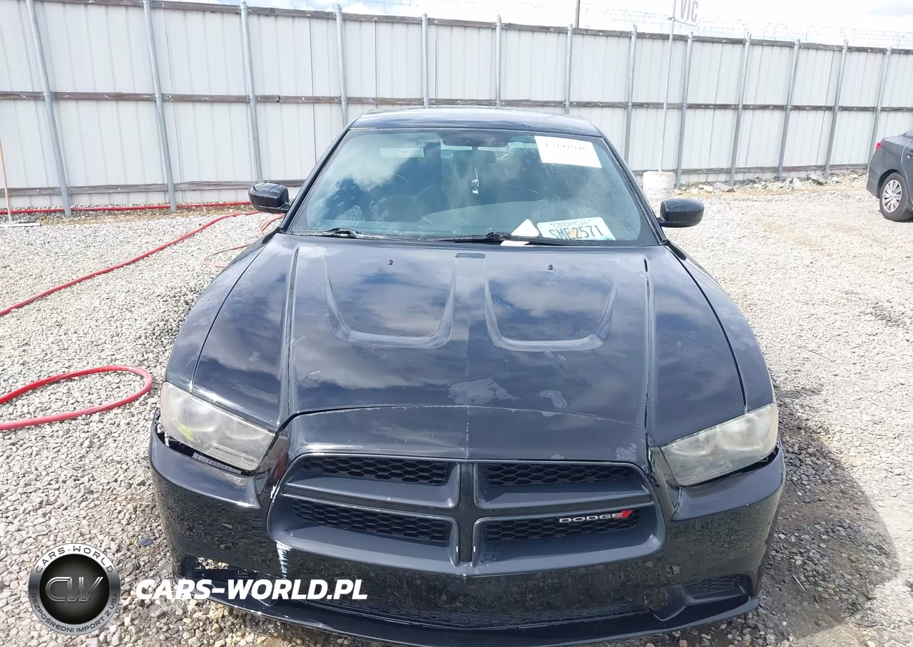 2013 Dodge Charger Police VIN:2C3CDXAT5DH575686 - 12