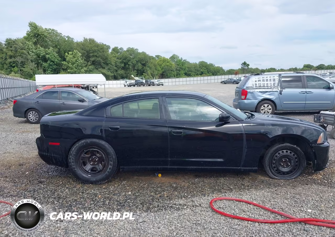 2013 Dodge Charger Police VIN:2C3CDXAT5DH575686 - 13