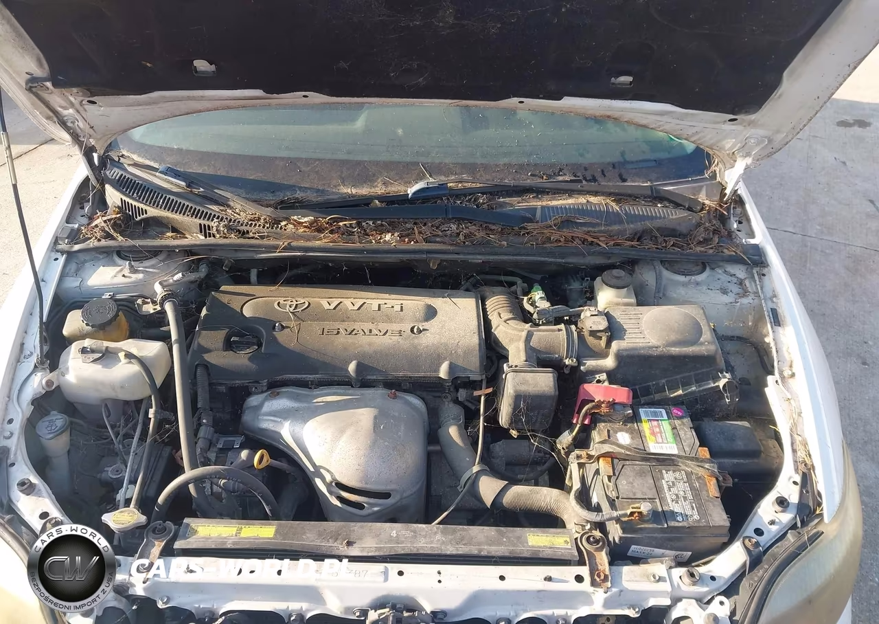 2005 Scion Tc VIN:JTKDE177150026103 - 10