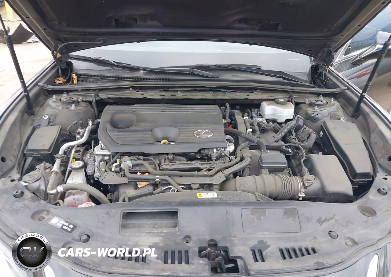 2024 Lexus Es 300H VIN:58ADA1C13RU047509 - 10