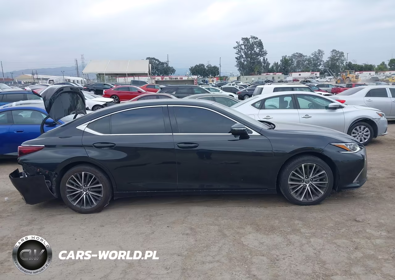 2024 Lexus Es 300H VIN:58ADA1C13RU047509 - 13