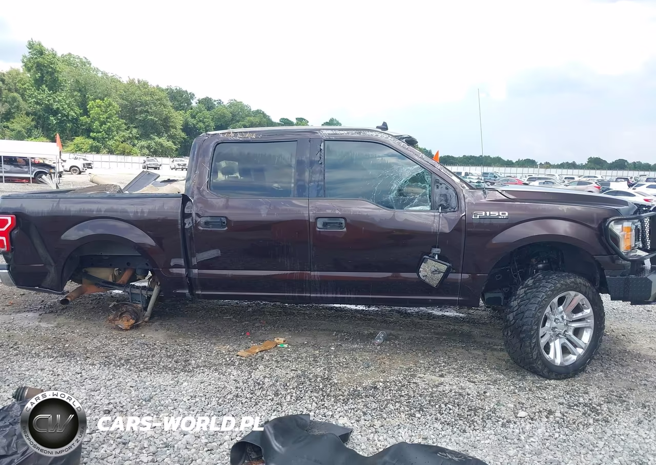 2020 Ford F-150 King Ranch-Lariat-Platinum-Xl-Xlt VIN:1FTEW1E46LFA24004 - 13