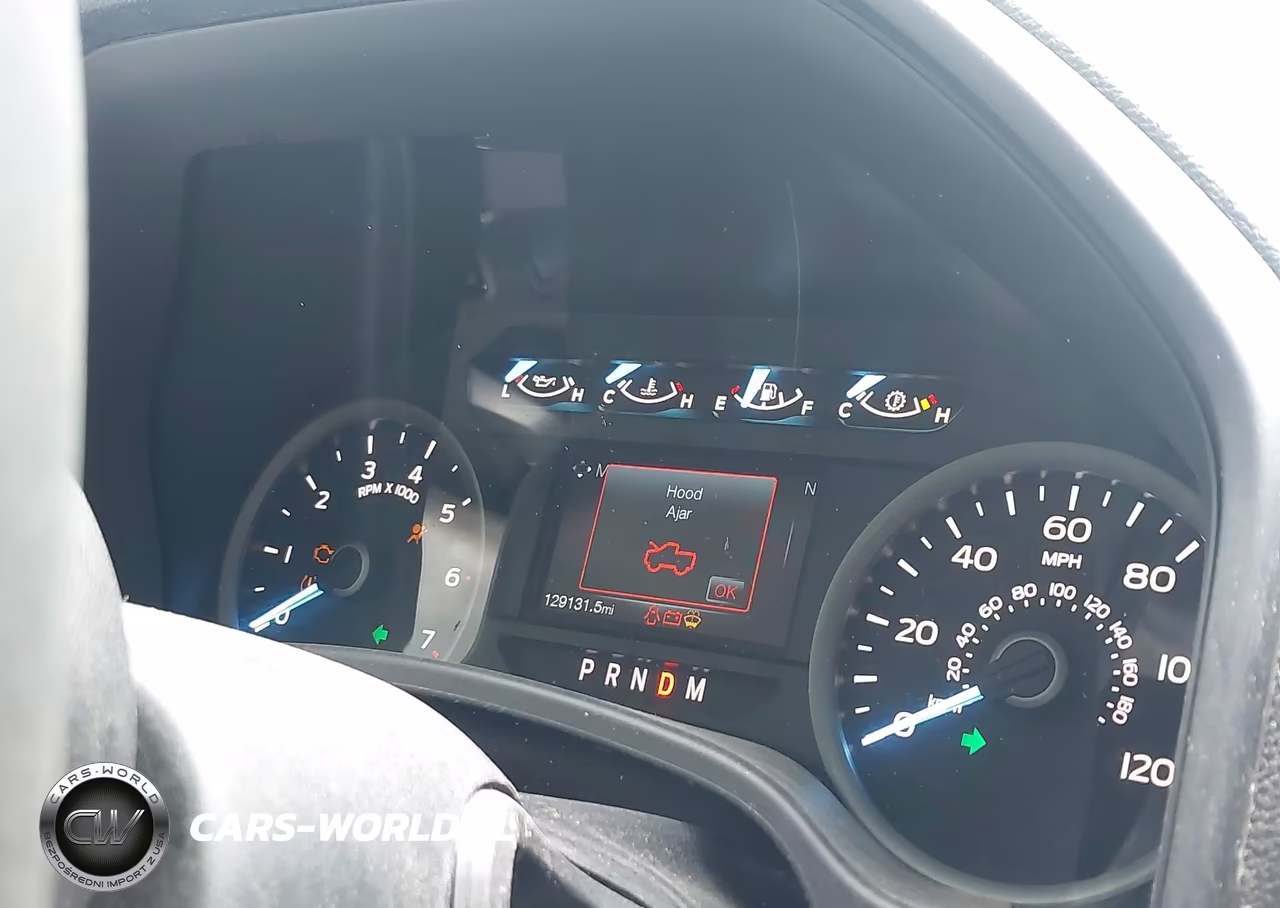 2020 Ford F-150 King Ranch-Lariat-Platinum-Xl-Xlt VIN:1FTEW1E46LFA24004 - 15
