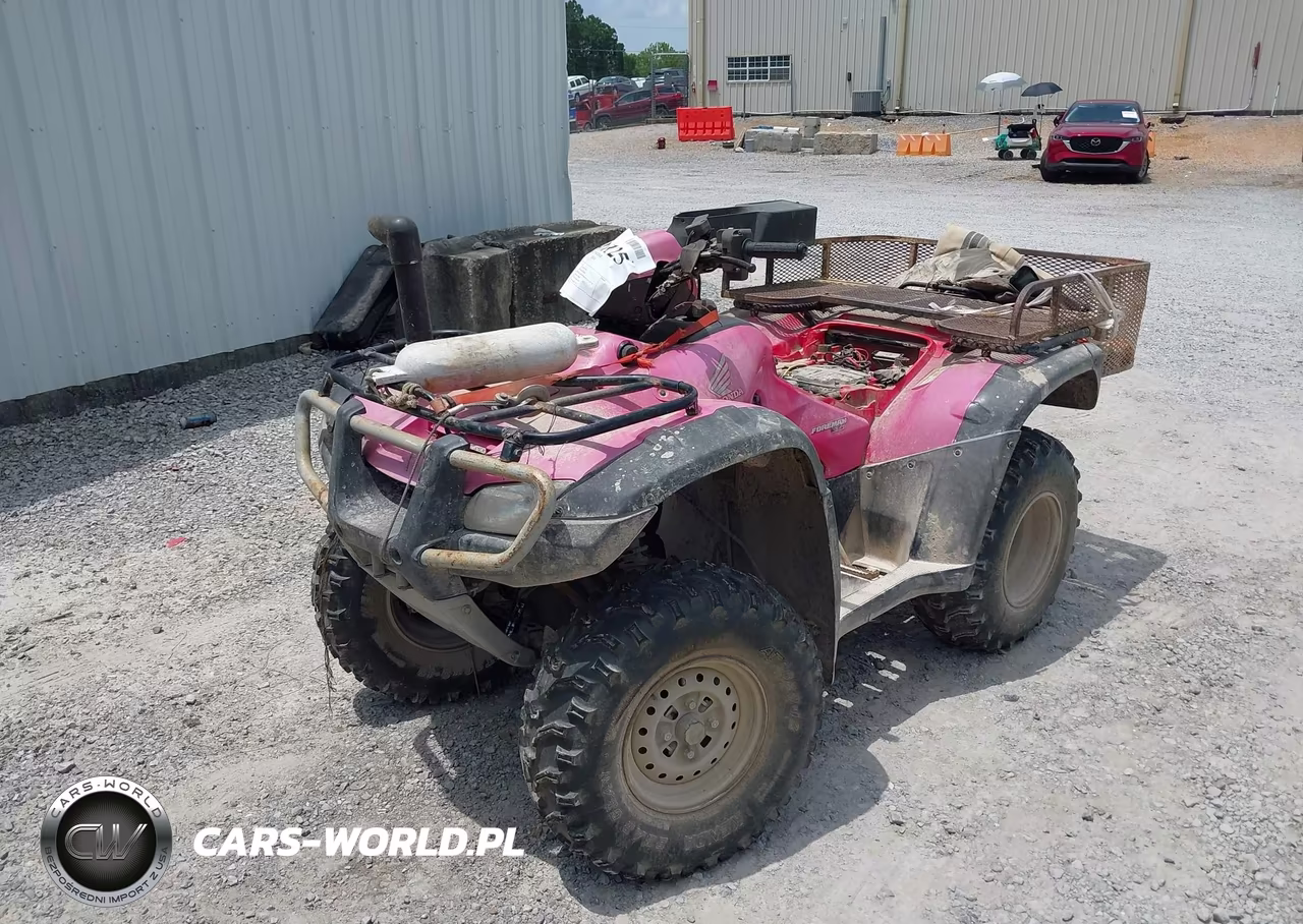 2005 Honda Trx500 Fm VIN:1HFTE317954006669 - 2
