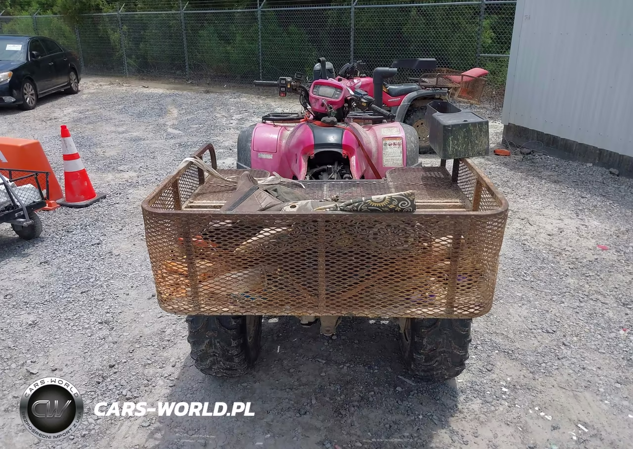 2005 Honda Trx500 Fm VIN:1HFTE317954006669 - 6