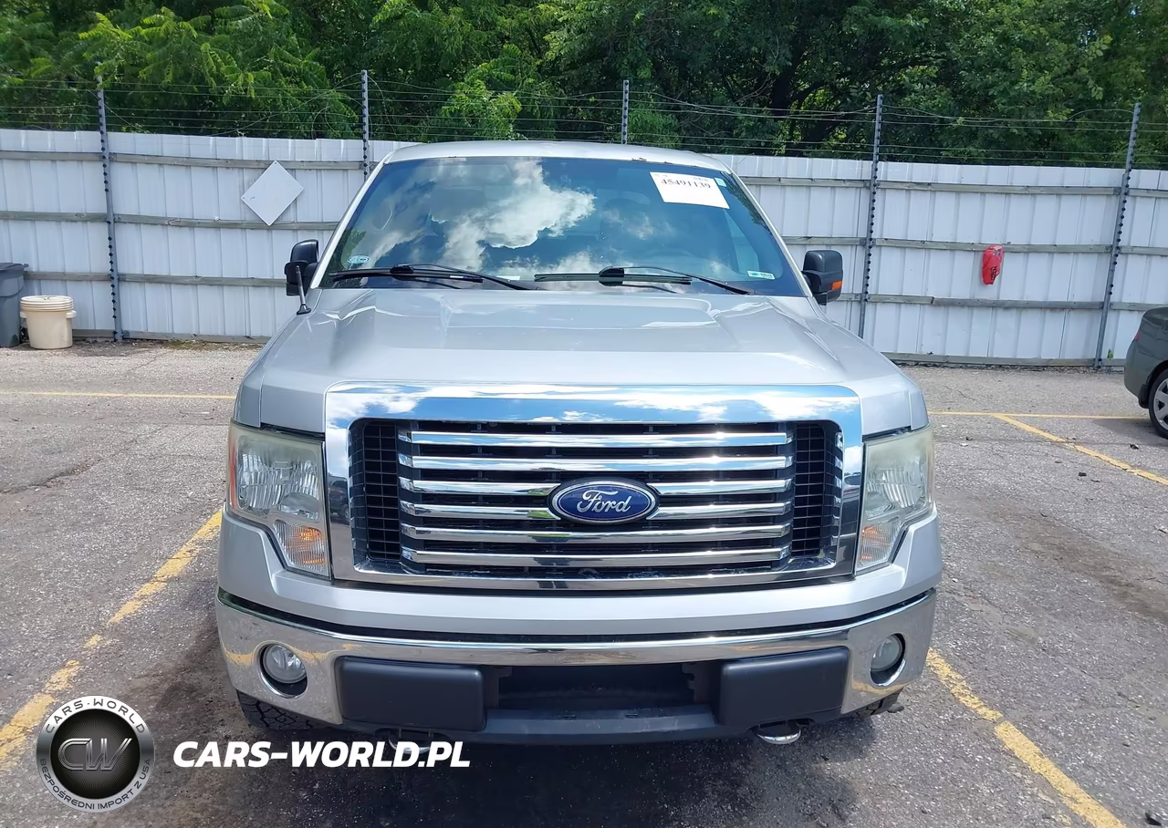 2010 Ford F-150 Fx4-Harley-Davidson-King Ranch-Lariat-Platinum-Xl-Xlt VIN:1FTFW1EV1AKC53515 - 12