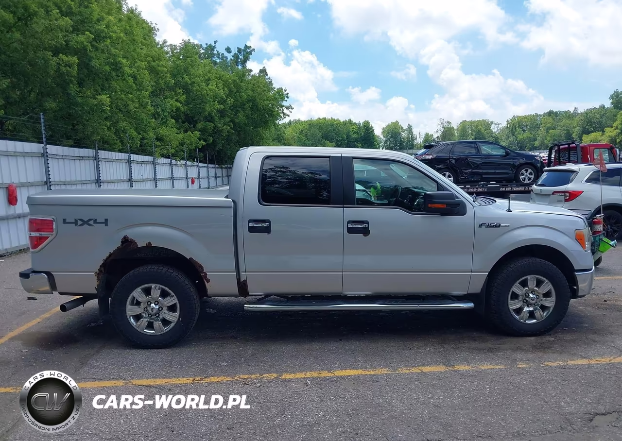 2010 Ford F-150 Fx4-Harley-Davidson-King Ranch-Lariat-Platinum-Xl-Xlt VIN:1FTFW1EV1AKC53515 - 13